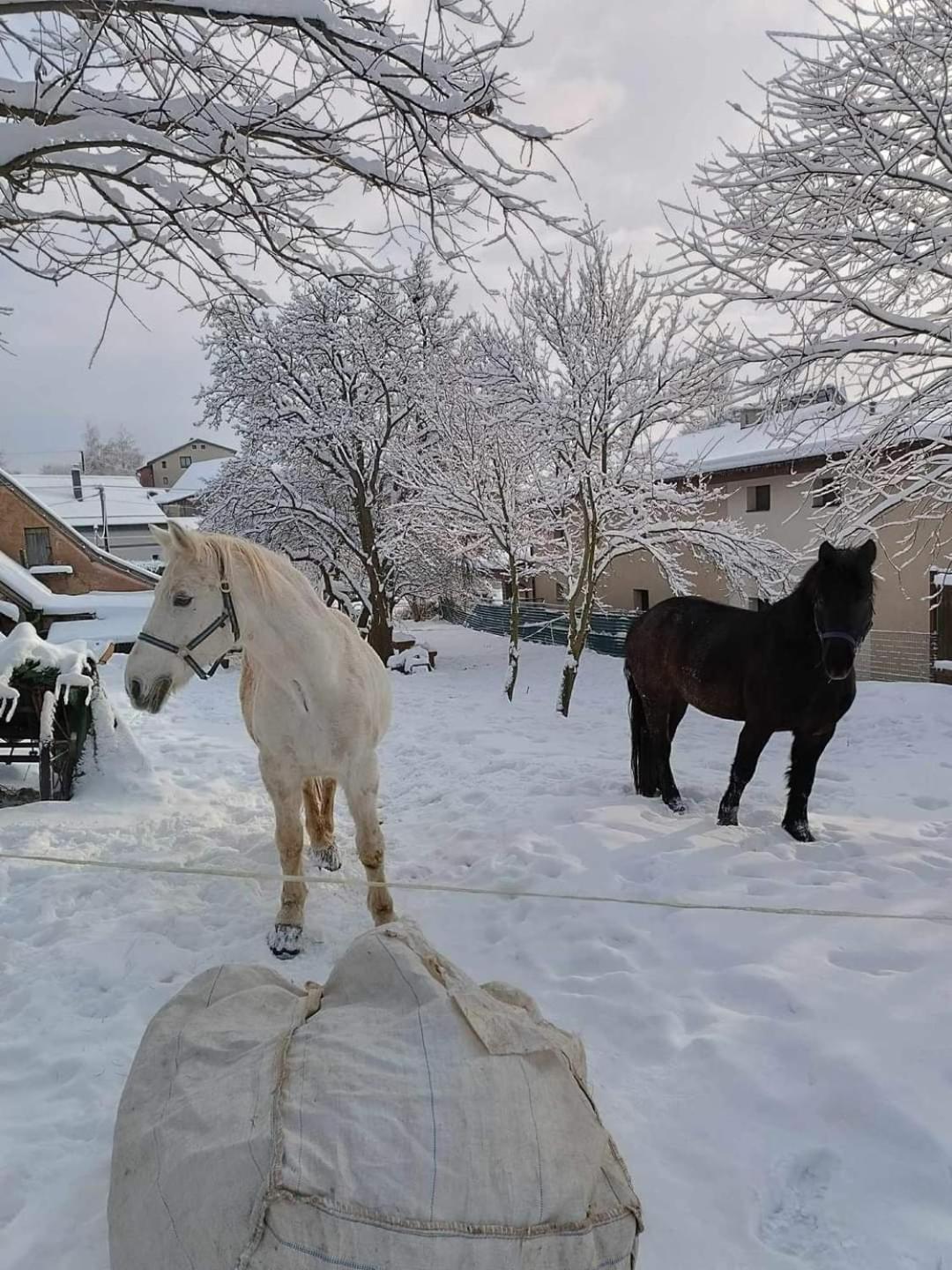 Pezion Limbovy Dvor Hotel Vrbov Bagian luar foto