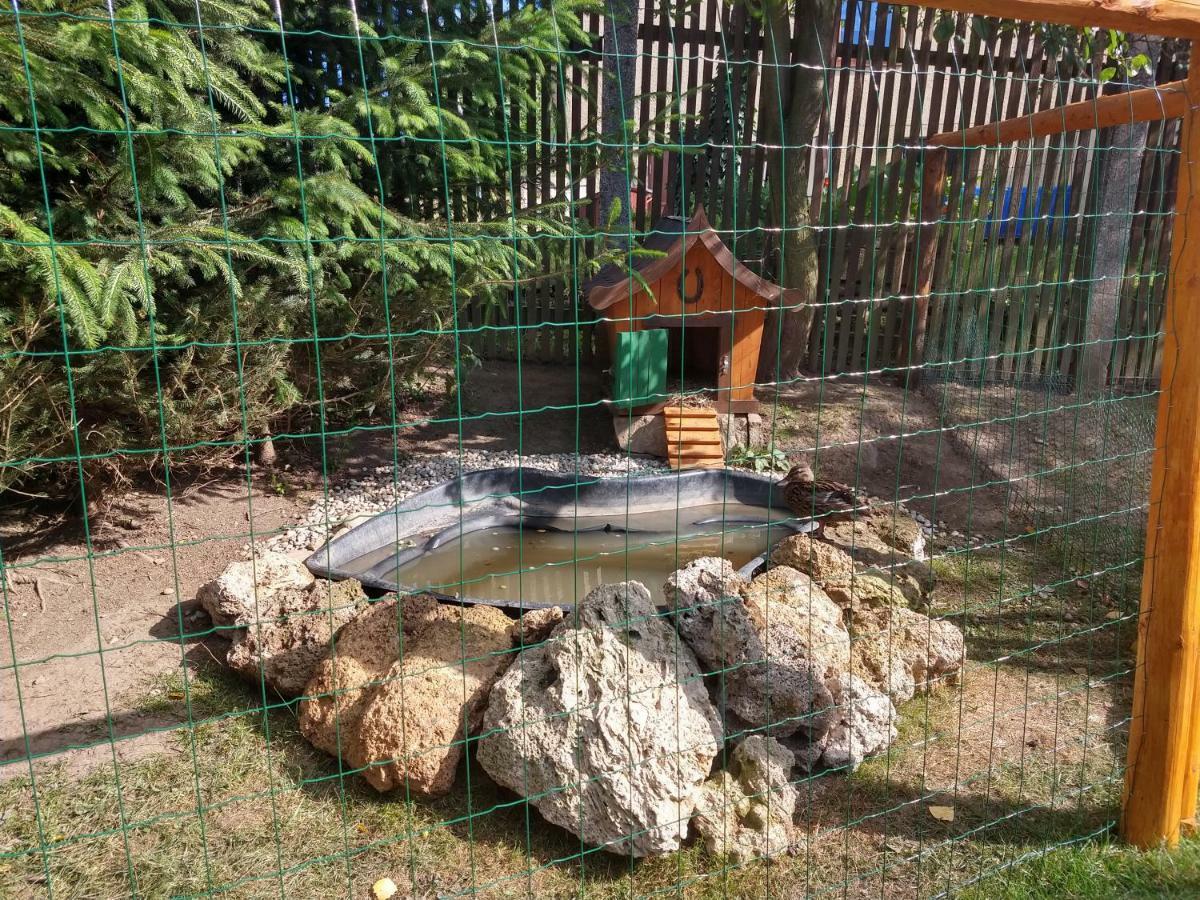 Pezion Limbovy Dvor Hotel Vrbov Bagian luar foto